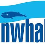 Запасные части для автомобилей от Finwhale